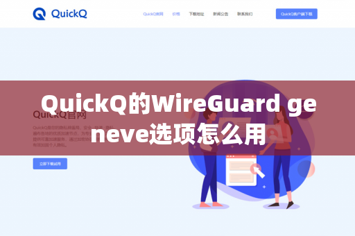 QuickQ的WireGuard geneve选项怎么用