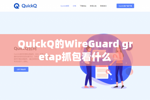 QuickQ的WireGuard gretap抓包看什么